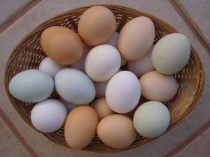 pastured eggs